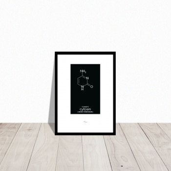 kemisk-struktur_a4_cytosin
